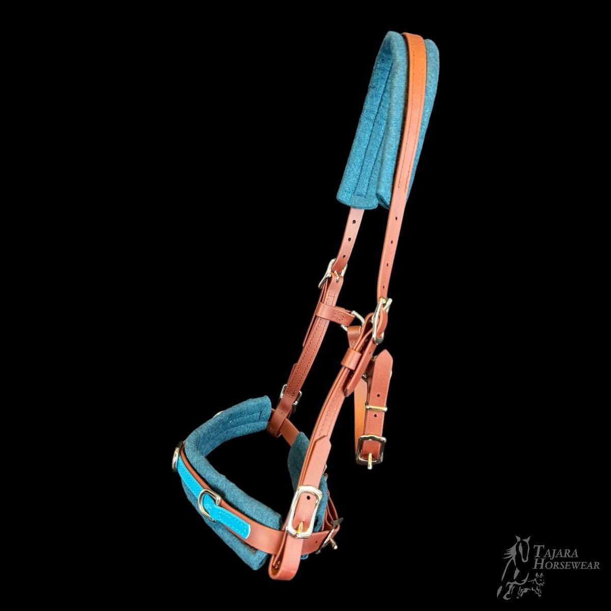Vollblut/COB Cavesson-Bridle (TH288)